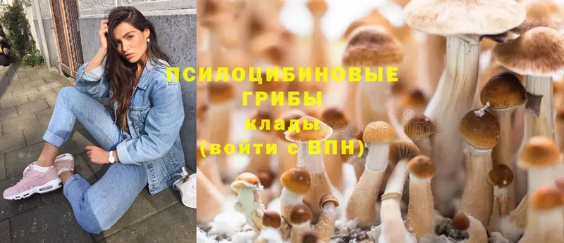 Галлюциногенные грибы Magic Shrooms  Курильск 